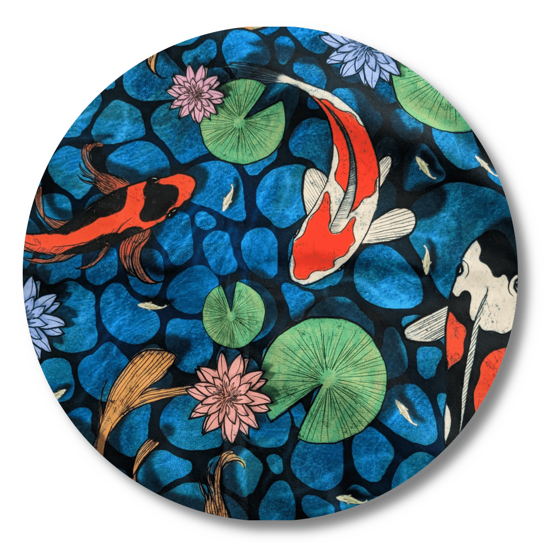 Shag Ragg - Why So Koi?