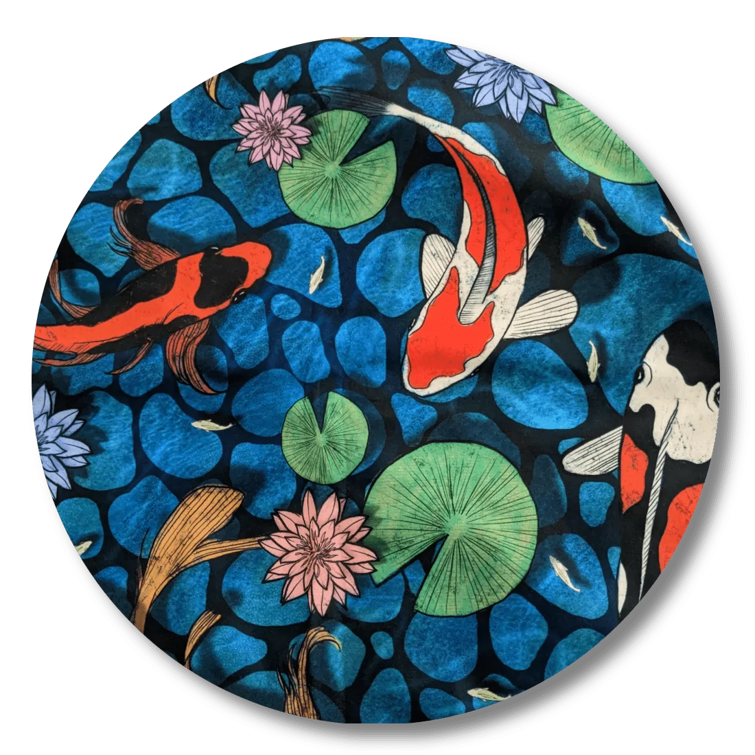 Shag Ragg - Why So Koi?