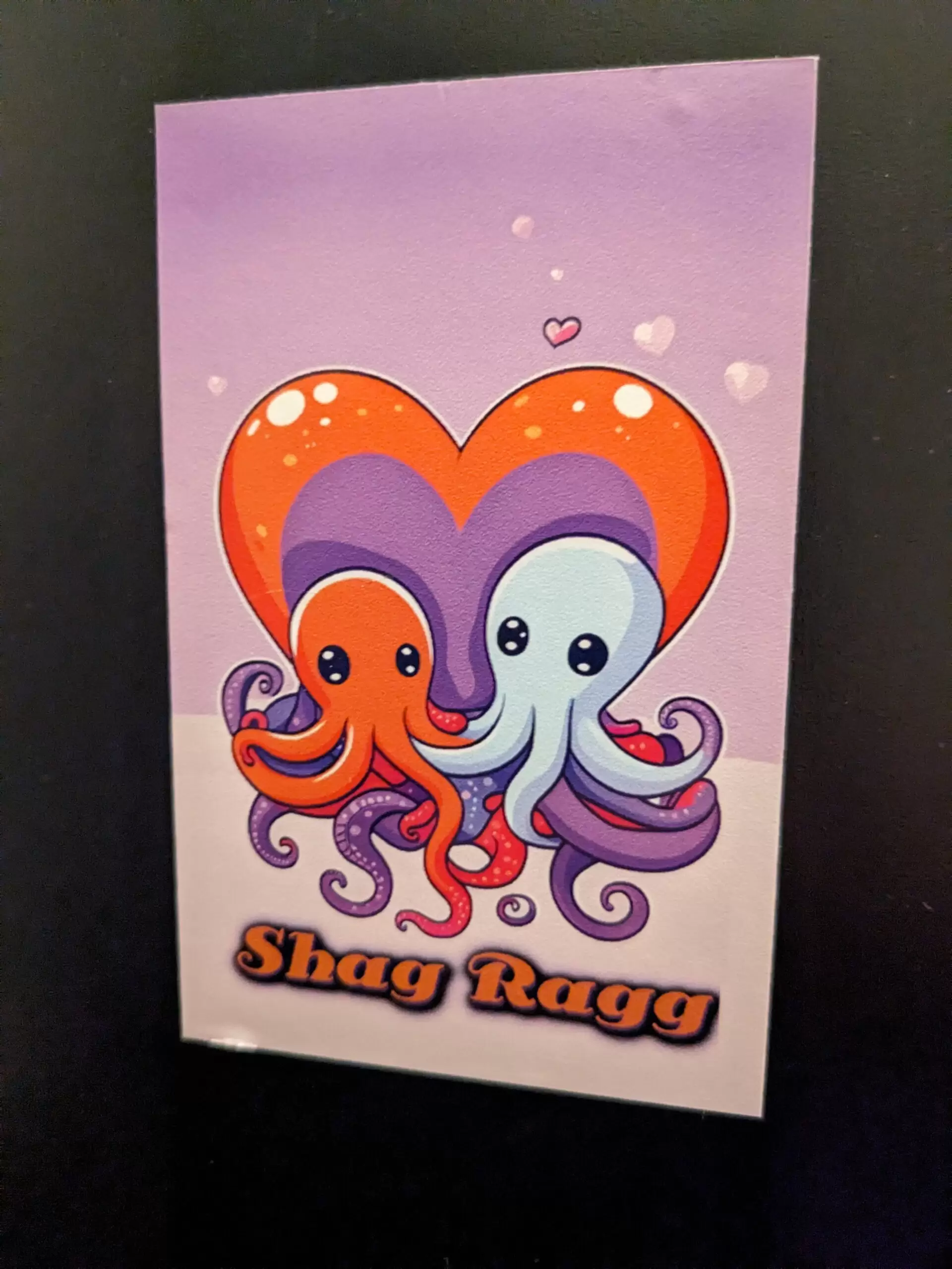 Shag Ragg Sticker - Octopus Love