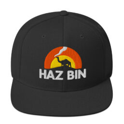 Haz Bin - Snapback Hat